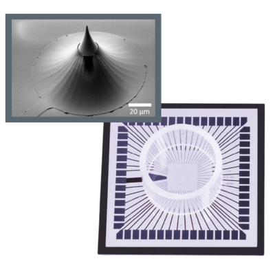 3D MEA organoid electrophysiology - multichannelsystems hbio