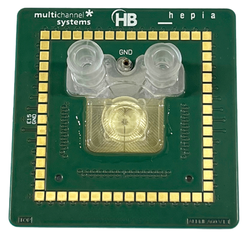 ALI MEA HBio Multi Channel Systems - air liquid interface organoid electrophysiology