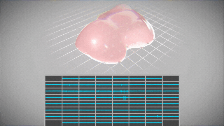 Mesh_MEA_Animation_Short_GIF_small