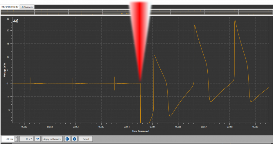 Extra_Intra_Transition