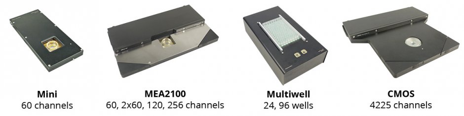 MEA-headstages