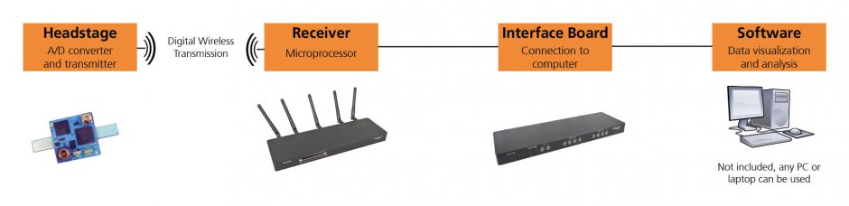 W2100-System_Overview