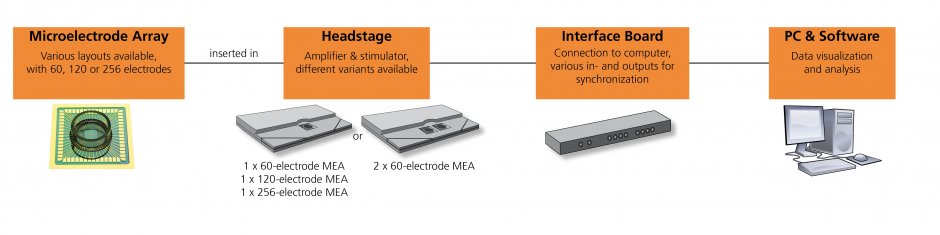MEA2100-Systems_Overview