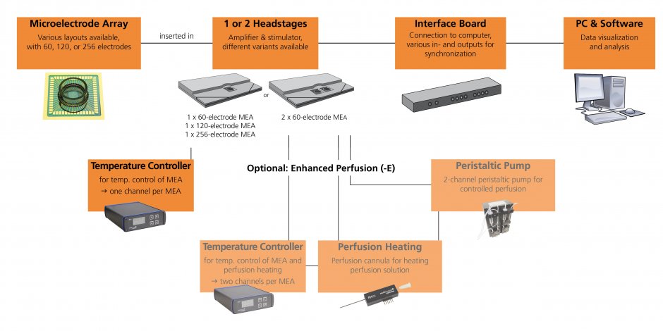 MEA2100-Systems_Perfusion