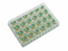 24-well plate on glass