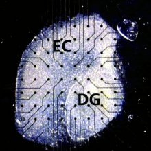 Hippocampal Slices for Organotypic Cultures (OTC) Hippocampal Slices for Organotypic Cultures (OTC)