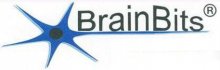 BrainBits LLC Logo