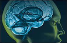 Computational Intelligence and Neuroscience