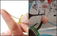 Flexible MEA Flexible MEA