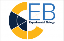Logo-EB