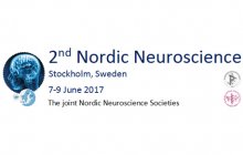 Logo_NNS