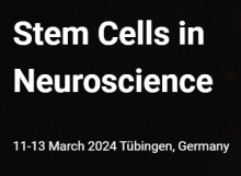 Stem Cells in Neuroscience