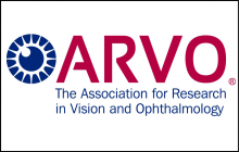 Association for Research in Vision and Ophthalmology