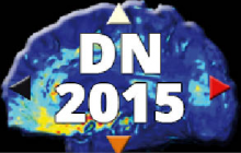 Logo Dutch Neuroscience