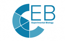 Experimental Biology