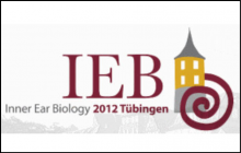Inner Ear Biology 2012