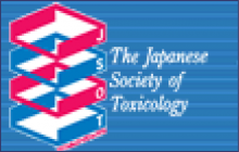 Logo JSOT