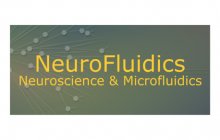 Messe-NeuroFluidic
