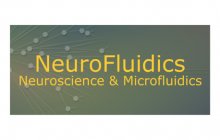 Messe-NeuroFluidic