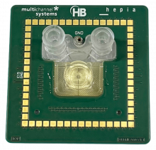 ALI MEA HBio Multi Channel Systems - air liquid interface organoid electrophysiology
