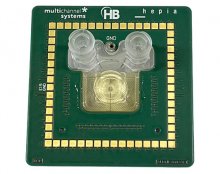 ALI-MEA-HBio-Multi-Channel-Systems---air-liquid-interface-organoid-electrophysiology