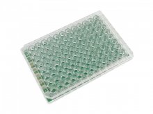 96-well plate on FR4 96-well plate on FR4