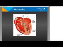 Cardio2D Webinar Recording 3pm