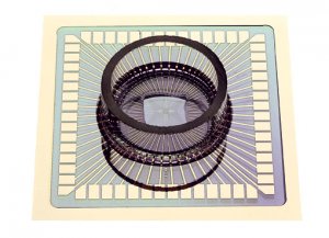 MEA 微電極陣列晶片