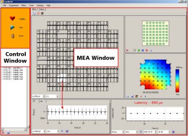 Cardio2D Main Window