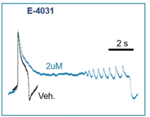 IDEAL FOR SAFETY PHARMACOLOGY AND CARDIO TOXICITY STUDIES