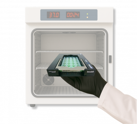 Incub8 in incubator