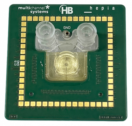 ALI MEA HBio Multi Channel Systems - air liquid interface organoid electrophysiology