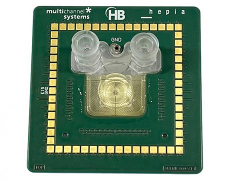 ALI-MEA-HBio-Multi-Channel-Systems---air-liquid-interface-organoid-electrophysiology