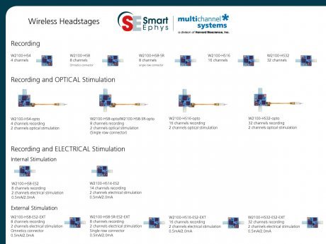 W2100-Headstages-Overview