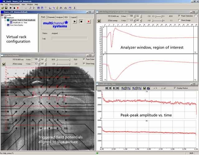 MC_Rack Tutorials: MEA Application Examples