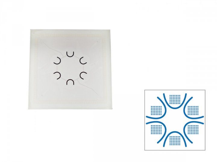 256-6wellMEA-iR-ITO-wo 256-6wellMEA-iR-ITO-wo