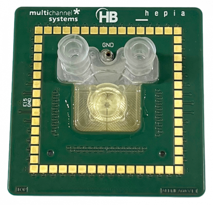 ALI MEA HBio Multi Channel Systems - air liquid interface organoid electrophysiology