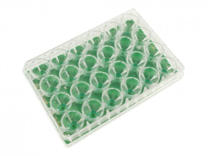 24-well plate on FR4 24-well plate on FR4