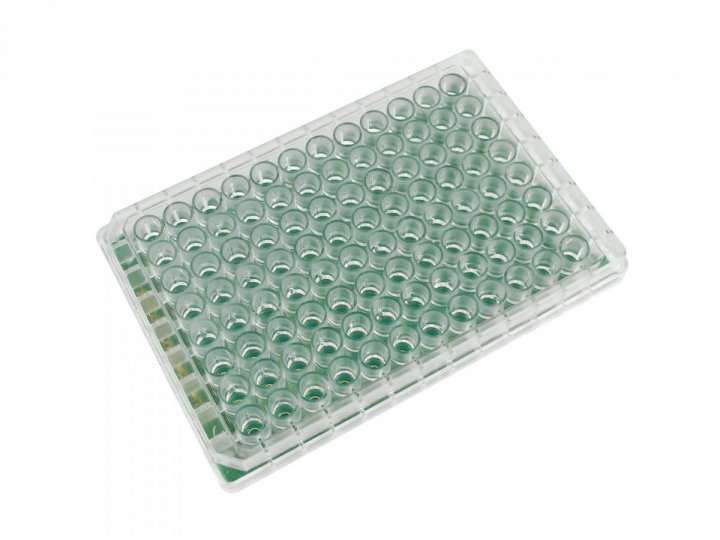 96-well plate on FR4 96-well plate on FR4